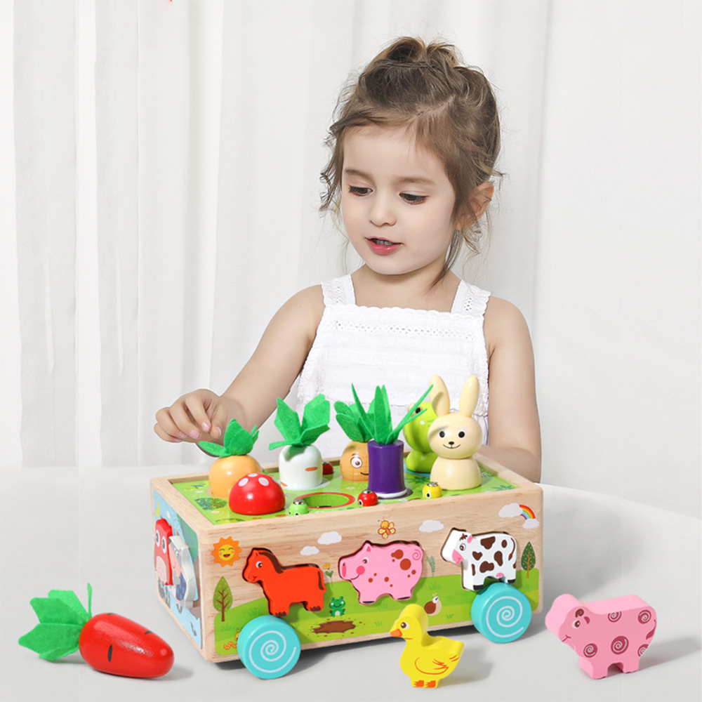 Wooden Shape Assortment Matchi - огляд і ціна Kids Education Number
